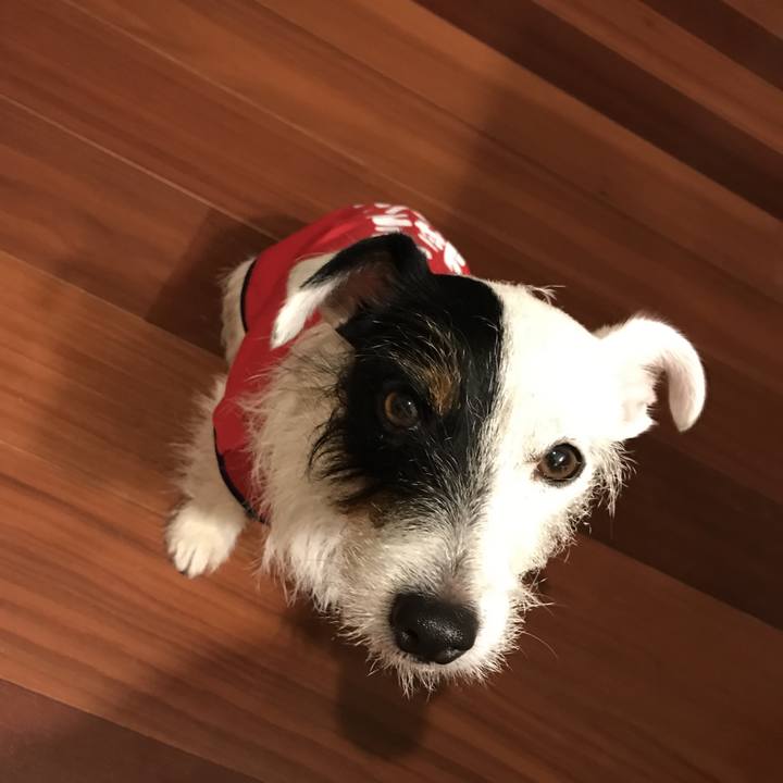 B1c55d62 eede 4962 b6cf ad05ab73b3cc