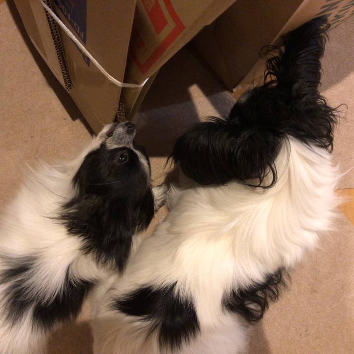 B1c6761d 72e7 4181 bcd6 ad1d771c9dcf