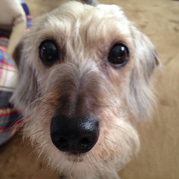 B1c70330 5393 4372 921f 868dcfcd475c