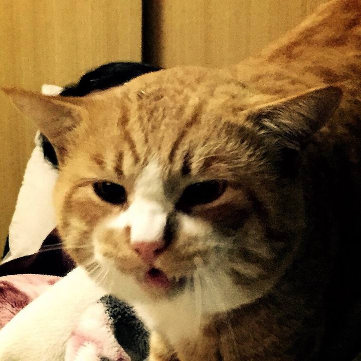 B1c7437a 21b0 4dc5 bc82 99b8887e2942