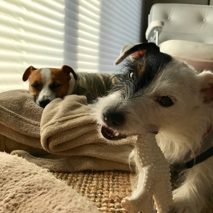 B1c7ac45 f3c8 430e 829d 662173955947