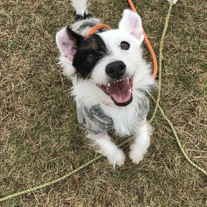 B1c80919 9d10 4ce5 9290 87431b571440