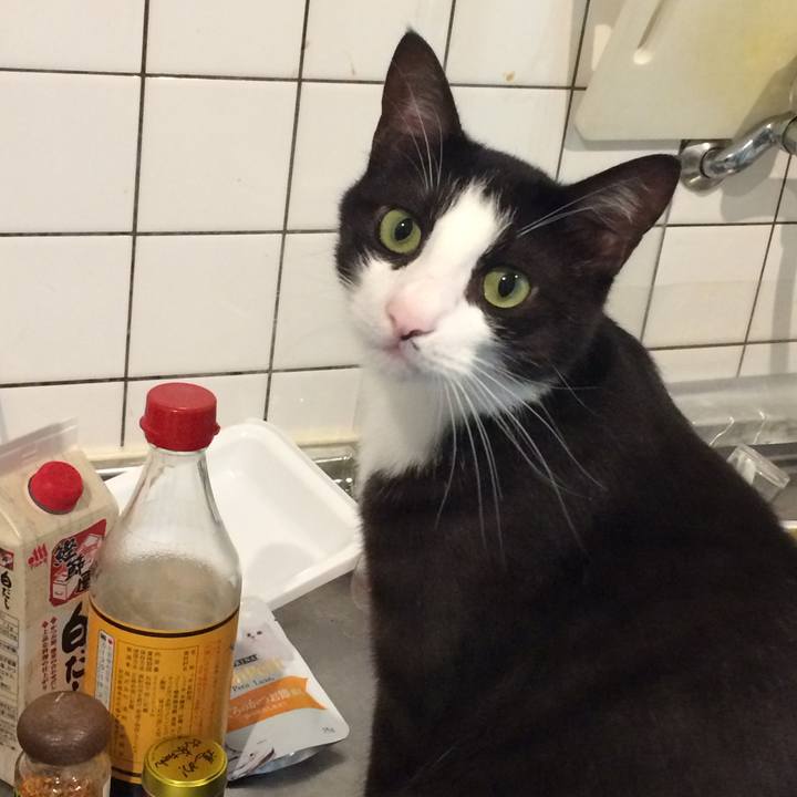 B1c9abb6 feeb 4e8c b06b 633b649025b3