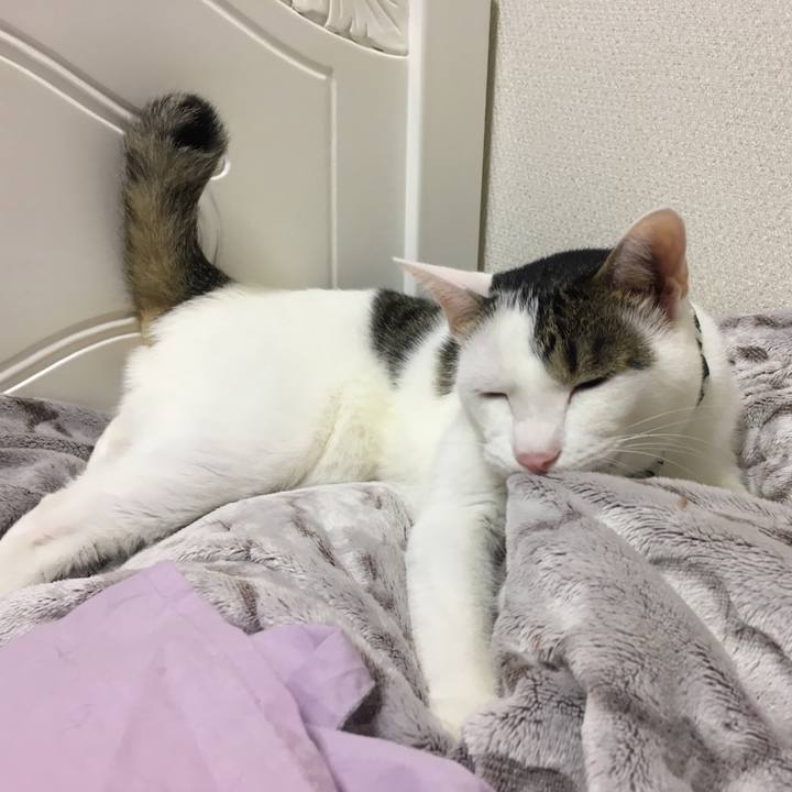 B1c9bbe7 e342 42ad af1e 660a76fc9a46