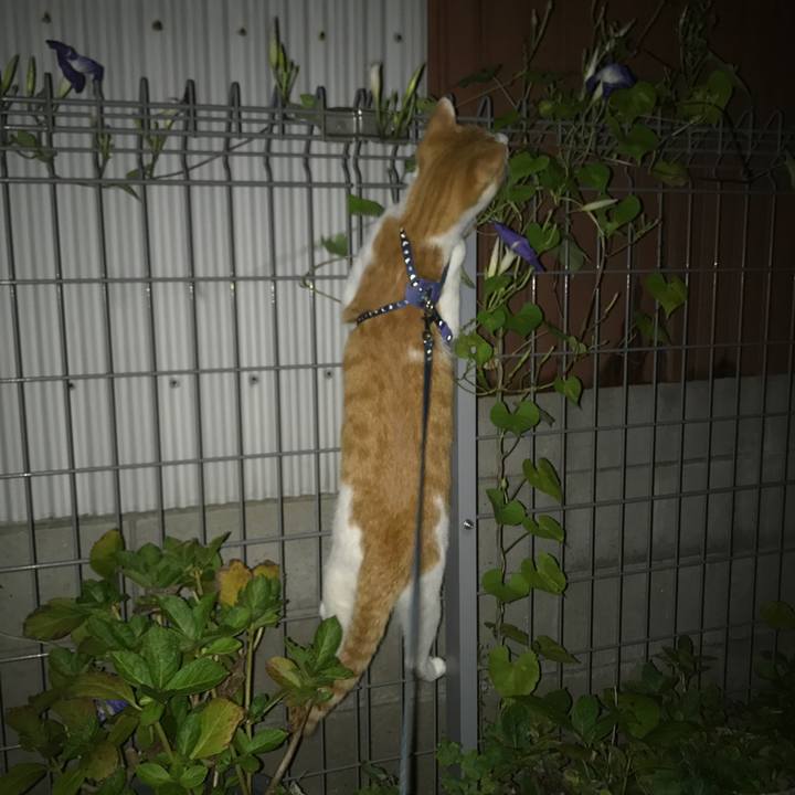 B1ca200b 934c 4339 8f88 1b568b4f59b4