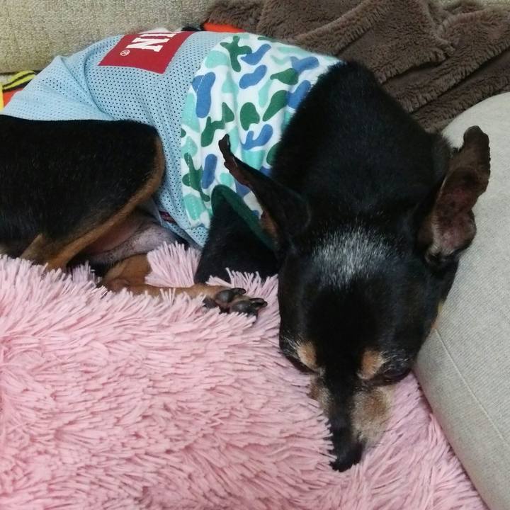 B1ca906f bd0c 4cb7 8f22 bca42b41a905