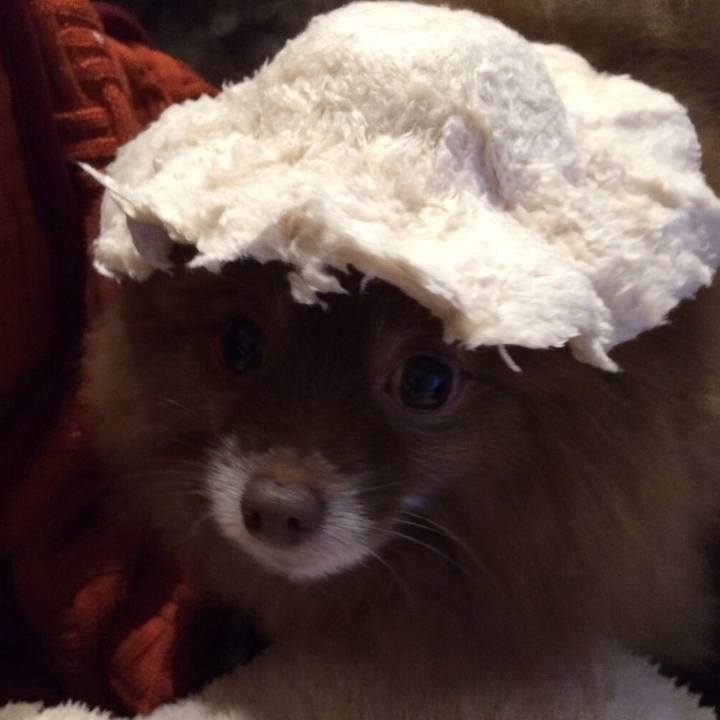 B1cb133d 8a93 4ae3 a501 22cc418a05bb