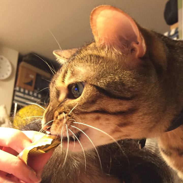 B1cd6b22 ad23 4070 9b0c 58d559dbf40e