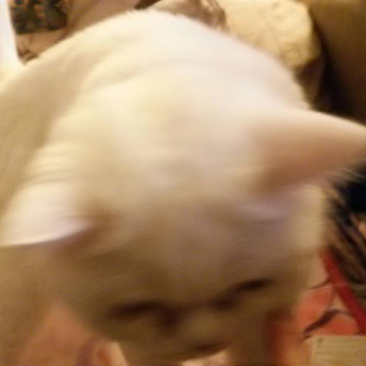 B1cdc306 8749 40e4 8d3f ff039d1d8c8f