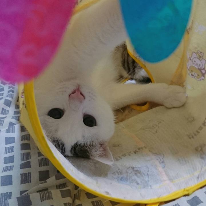 B1ce6149 9769 4481 8c86 cc4c55ff8a37