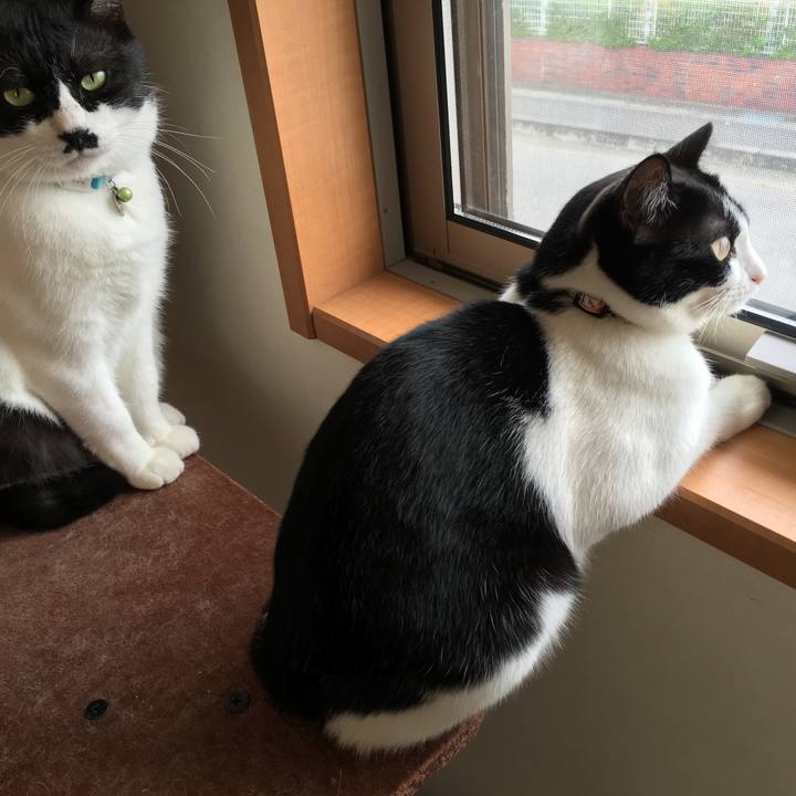 B1ce6dfd 41d9 4a37 879c e57afacc2639