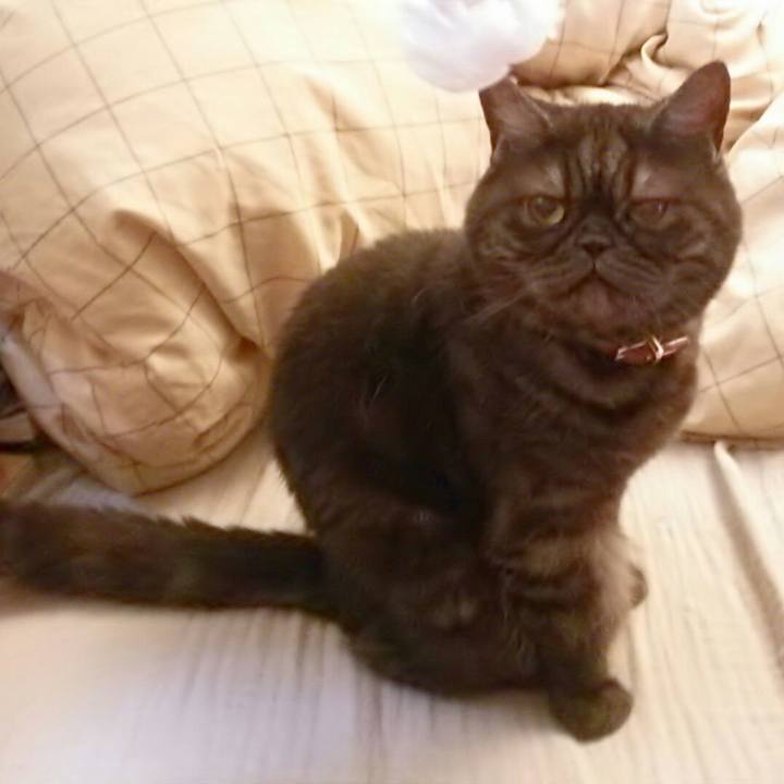 B1cece04 e557 41ec b250 95006c08f02a