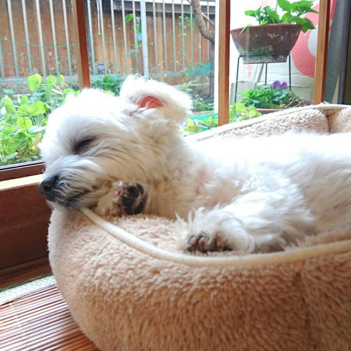 B1ced380 c509 4b41 8628 f3c981b7dfb5