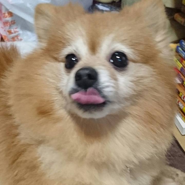 B1cf491f e0f7 47d2 9f96 aa126e00cabf