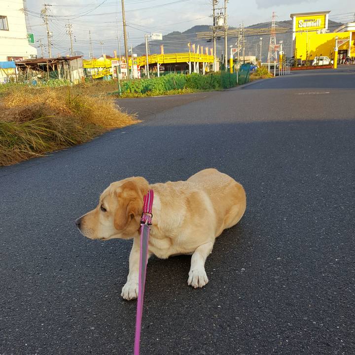 B1cfc573 4080 4312 bc2a ff8036b71b38