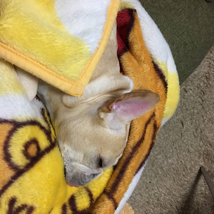 B1d028f9 d99b 421b 897e 5812118a7b89