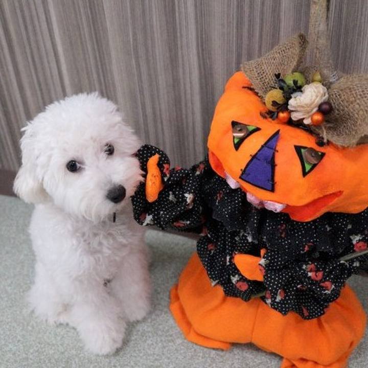 B1d06e18 ae11 4596 ac6c 228bfcb5038e