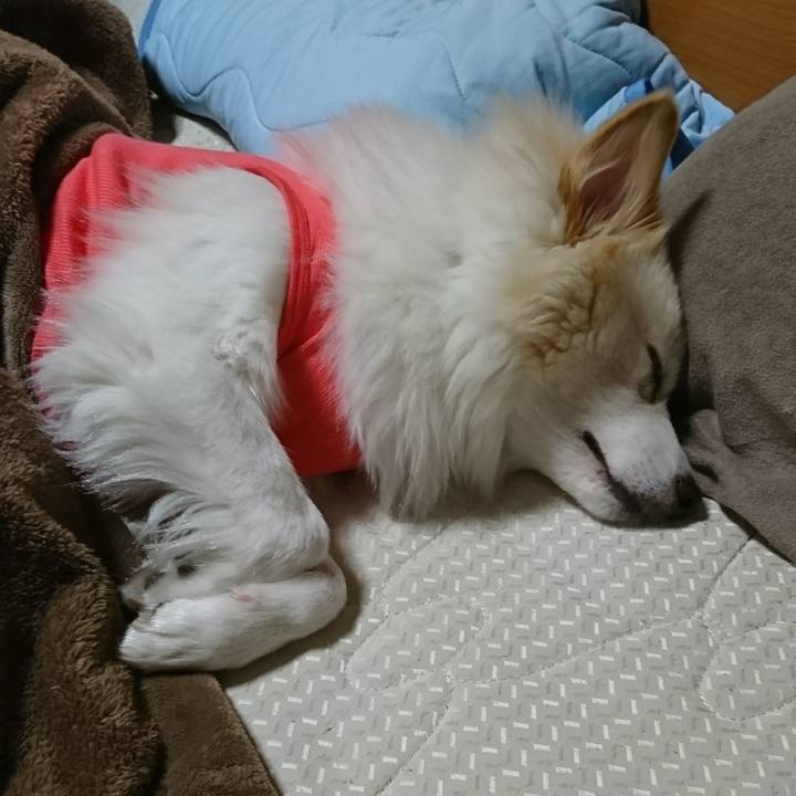 B1d072aa 24b3 4ebd b40d 1f0faa73efd0