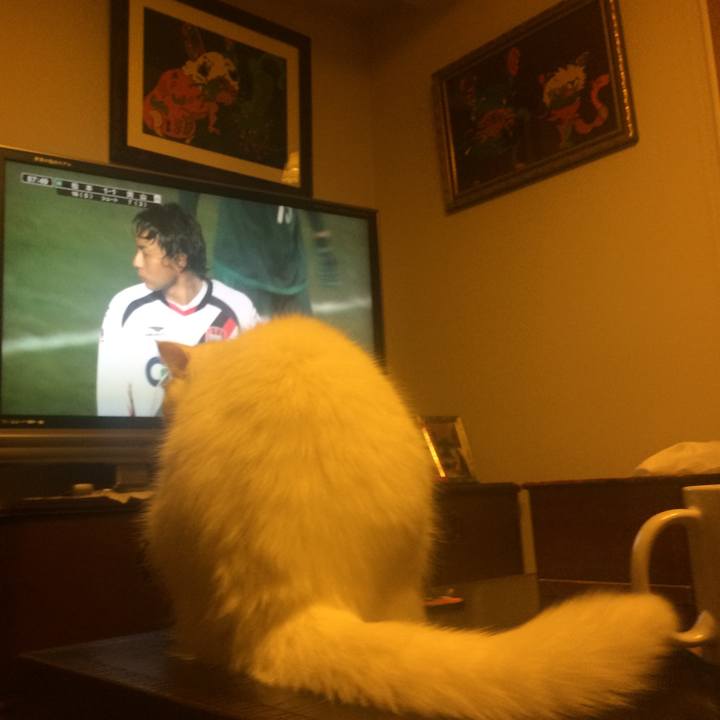 B1d1e63c ffac 4adc a7b2 1fe07215ba79