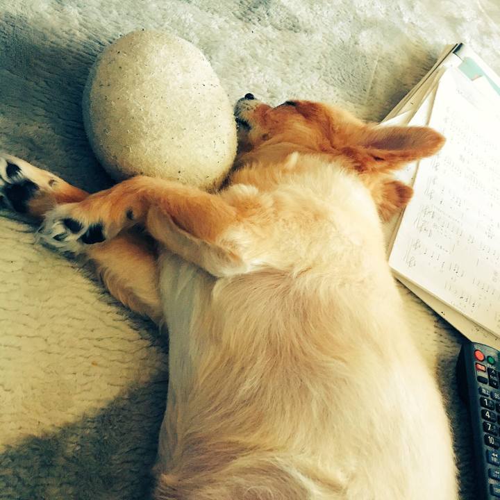 B1d2c37a 3d39 4b12 bcd5 72fa0920ffe6