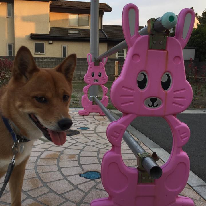 B1d31e35 bbe6 48be 85ff b2e35dad34c8