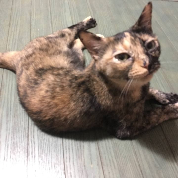 B1d410dc 859d 4954 a96f e03dc2c06d49