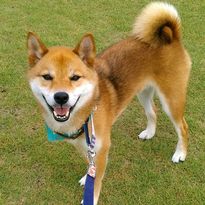 B1d4b4d0 36c6 4eb7 9c77 6c0e5fd09289