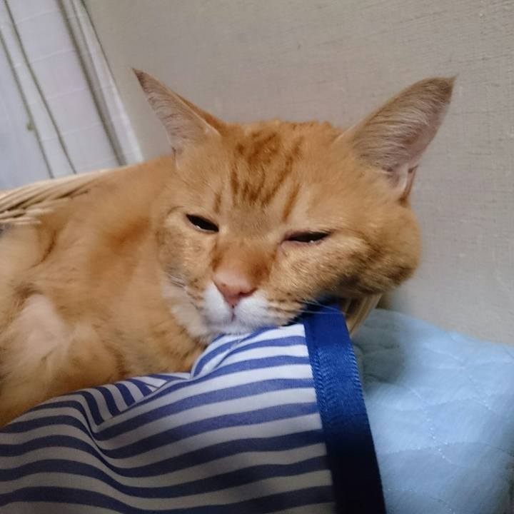 B1d4d0aa 1c02 4f9f acfc 8297e47a6496