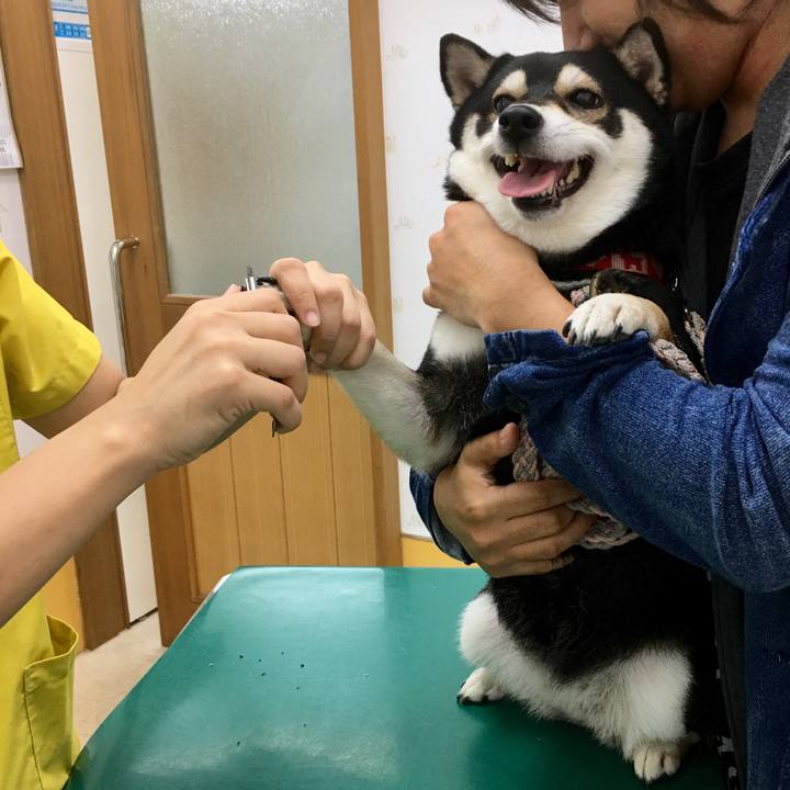 B1d4fc5e 2b9a 424e bb6f 598e8e3ddf88