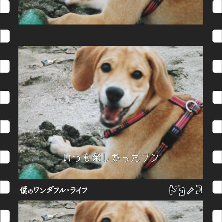 B1d50992 e461 40a8 9417 41fafc85b583