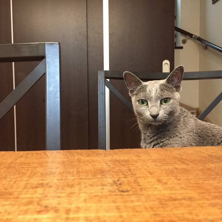 B1d5492f 55d7 416a b779 b2e5d94fa606