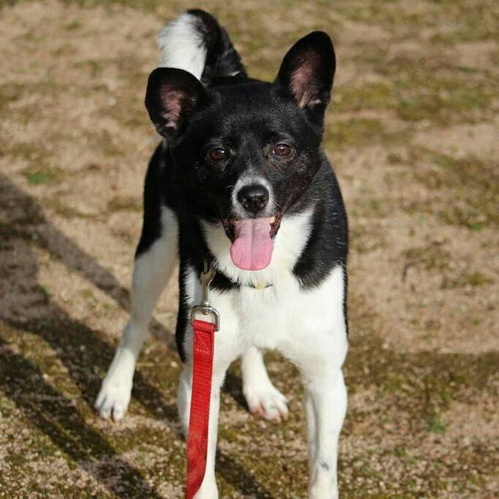 B1d54a4d 86ee 41e6 970b a14590ee6253