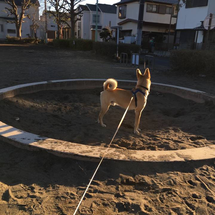 B1d5a81c 2cd2 470c 987a 44fde997ad69