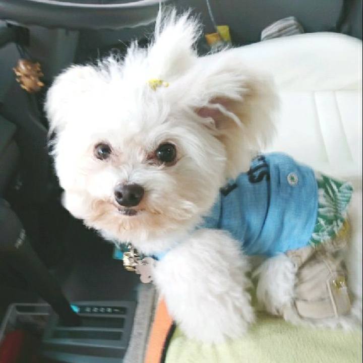 B1d62c70 8e41 46d5 8626 1f470311583b