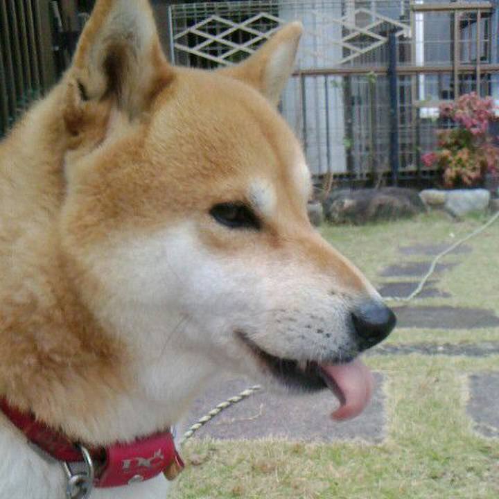 B1d62cb9 08f7 4fab b17a 8a2d3f92dd54