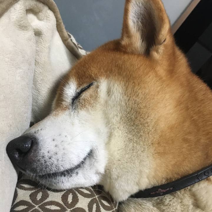 B1d65eb3 133d 41ef be91 5fa950984de3