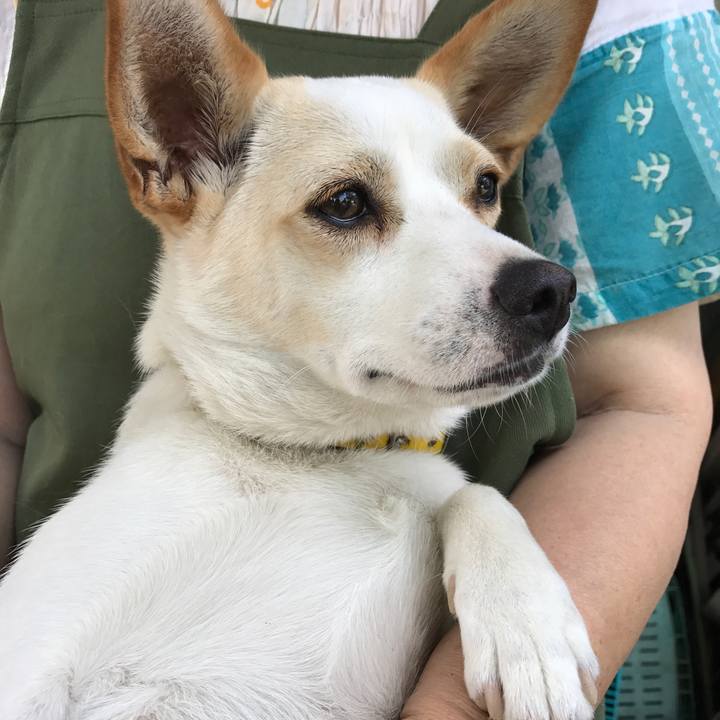 B1d67040 e8a4 4462 a820 40ecd6055be7