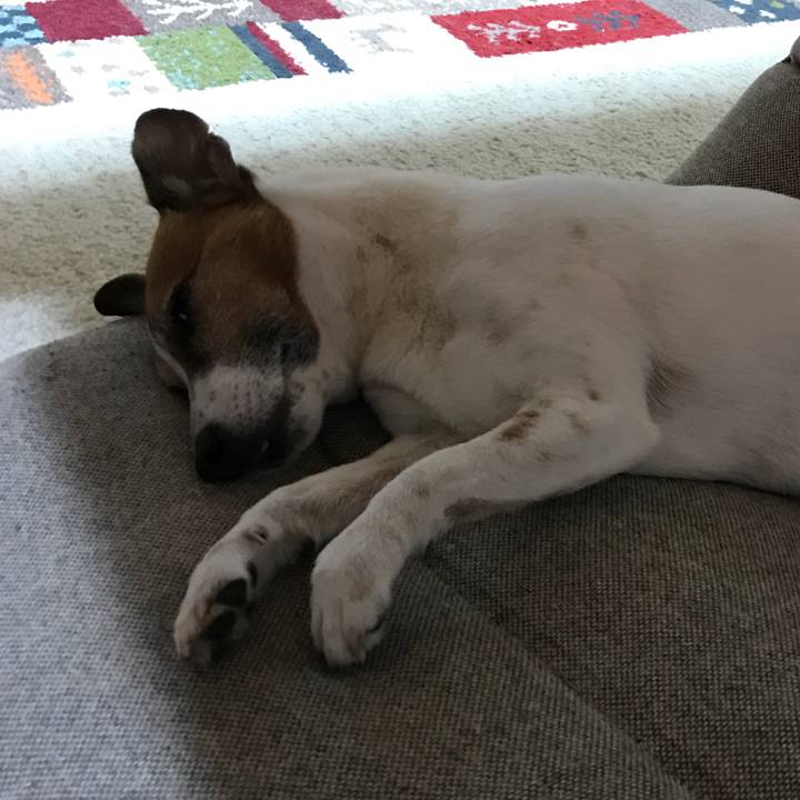 B1d6be83 a40d 44f3 9b7f 3fb4408e44f4