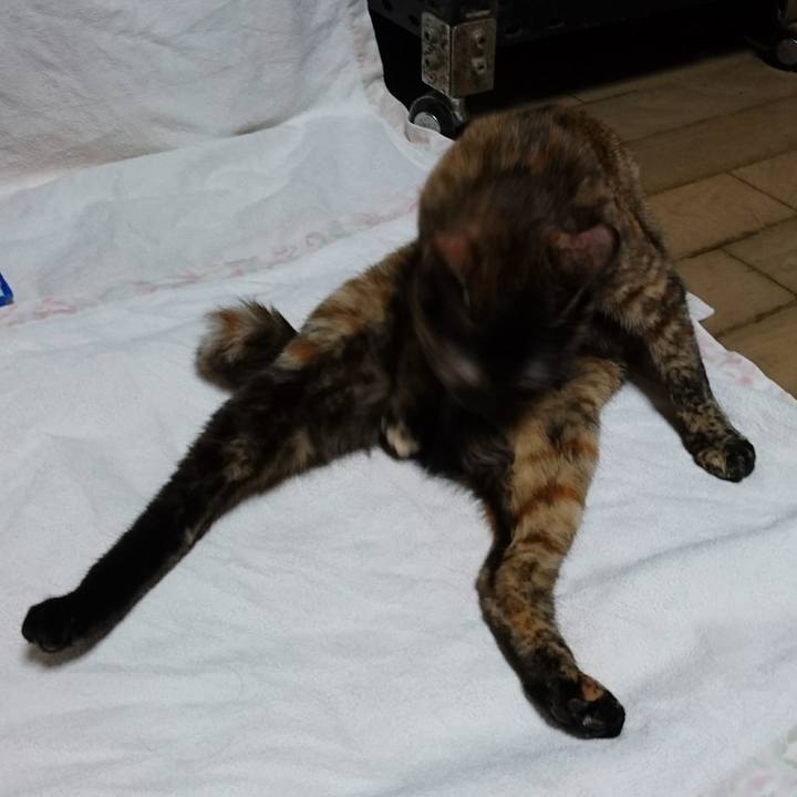 B1d6f88e 6e87 4a01 ba06 540967890798