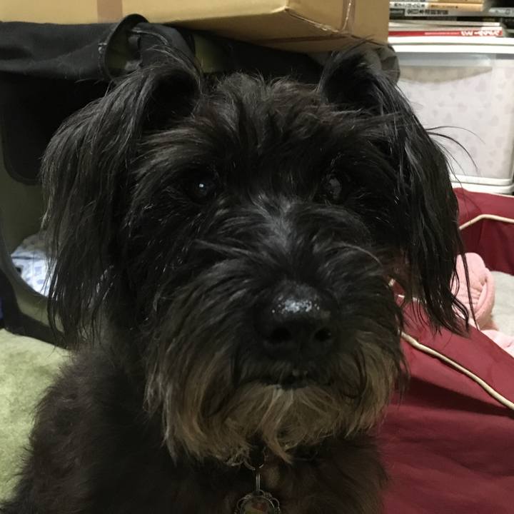 B1d79b1f 9894 4ce1 b509 1cb0bb94f7b3