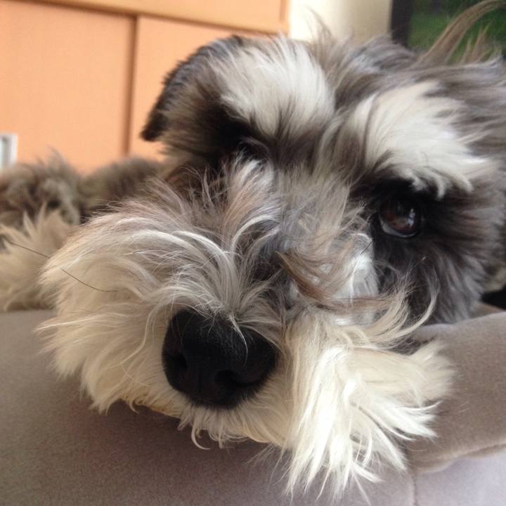 B1d7f30f ab8e 4ee7 9e08 886a4138b594