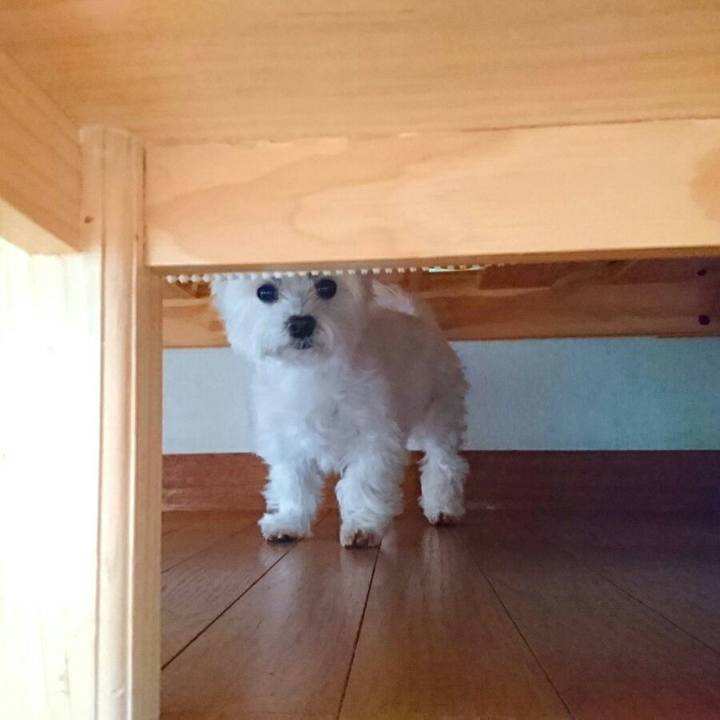 B1d815b0 62ed 41da bed1 3a249314362c