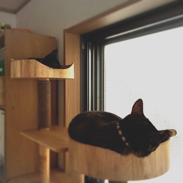 B1d836fc 6a29 43da 8286 5abb740af0f8