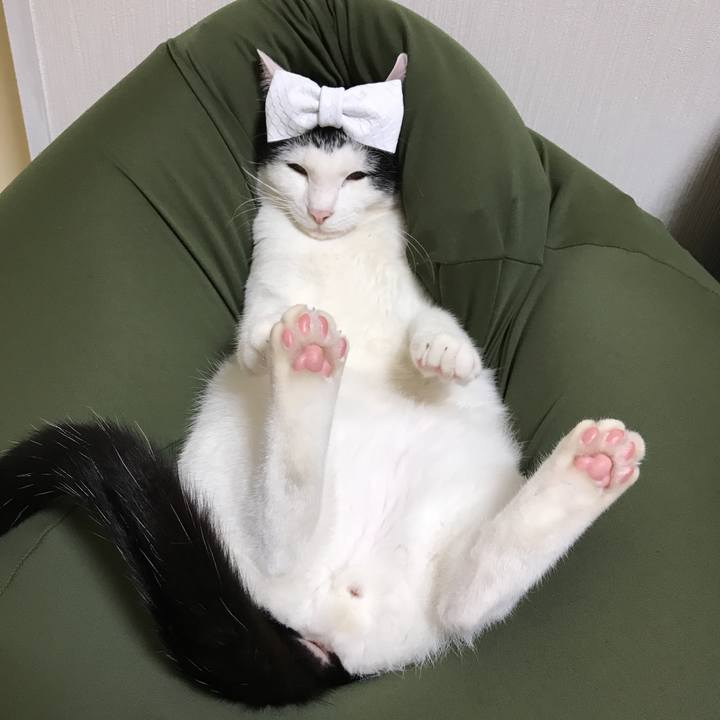 B1d8ae86 d3ba 4518 9596 841bb70baf50