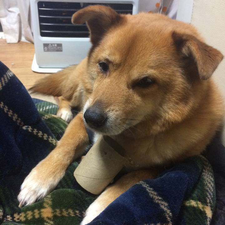 B1d8d389 7380 479a 9d60 bddd13fafa28