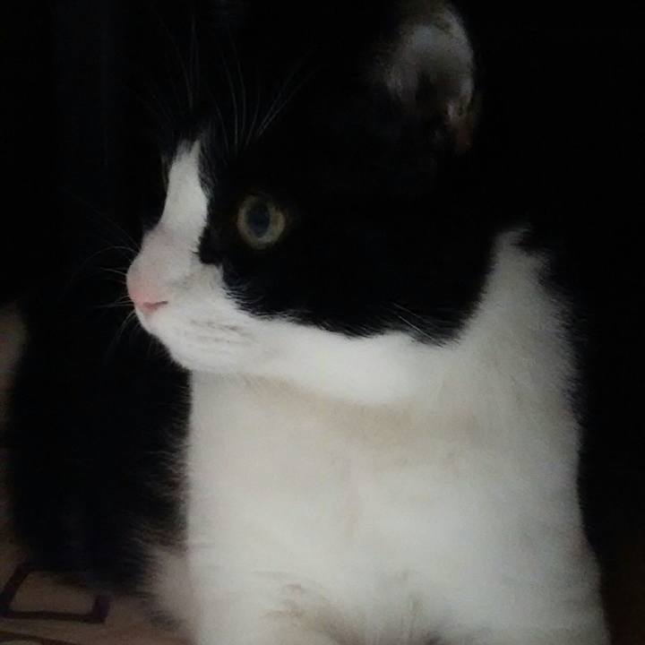 B1d8d73f b5f5 4600 8e69 f7cbf299229a