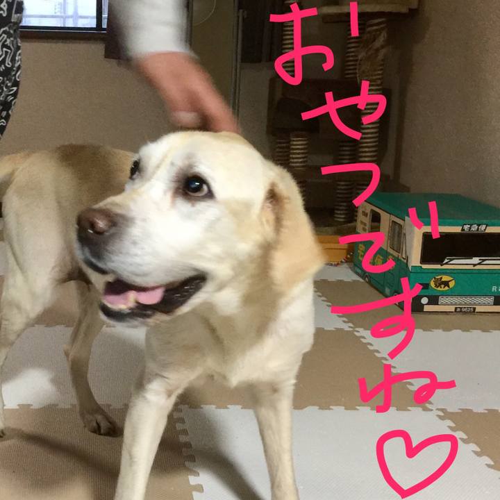 B1d8d95e 3634 4a60 8c9d 288001f35a0d