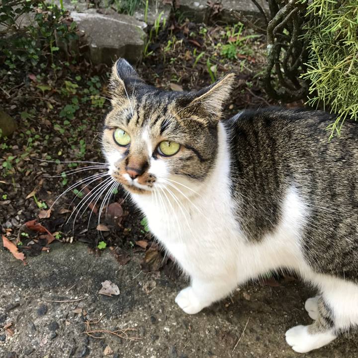 B1d9b14d ee67 4442 b0c4 8ad001073c16