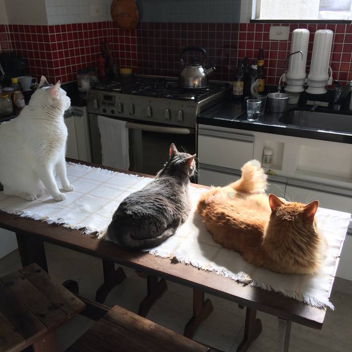 B1d9e766 4d72 4084 b5f4 61777fb38e04