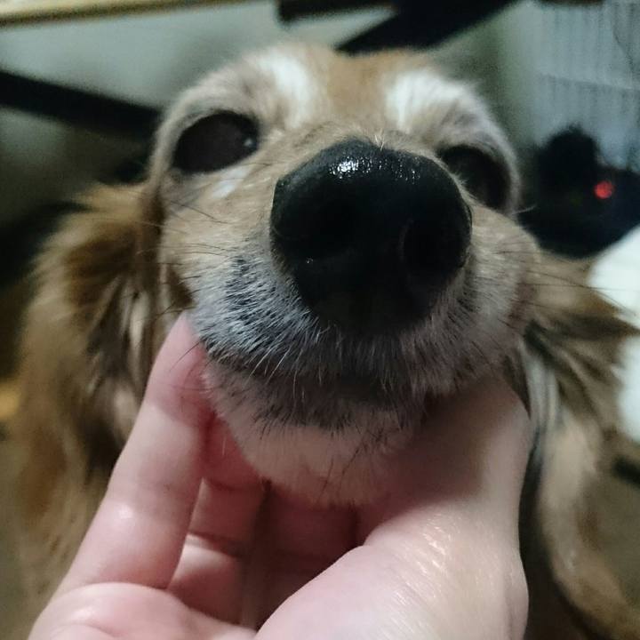 B1d9f482 0624 4dca a332 13f8ed6ffebc